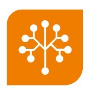 ikona