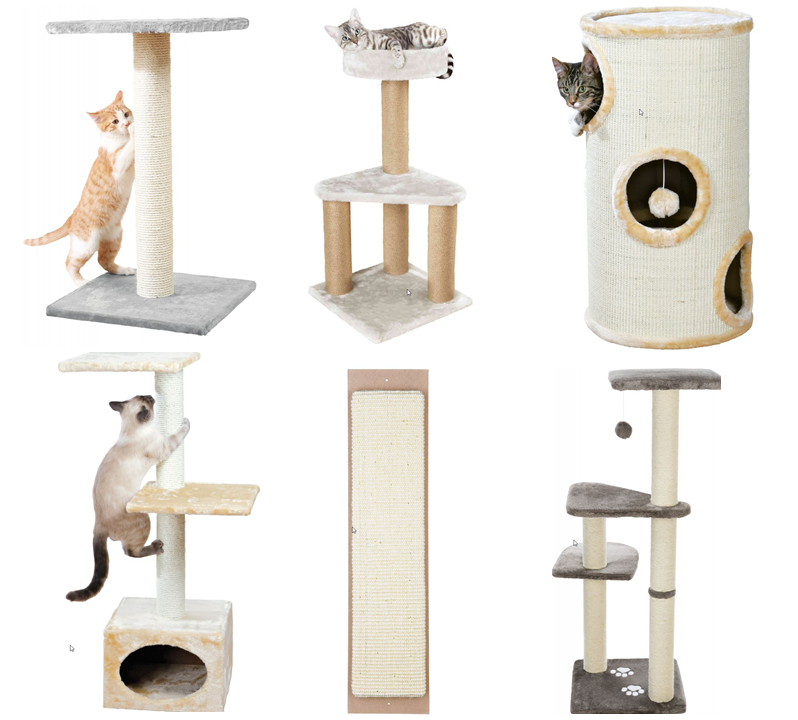 widok na koty bawiące się drapakami